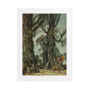 Arthur Rackham, Owl from "Peter Pan in Kensington Gardens",  16" x 20" Giclee Print