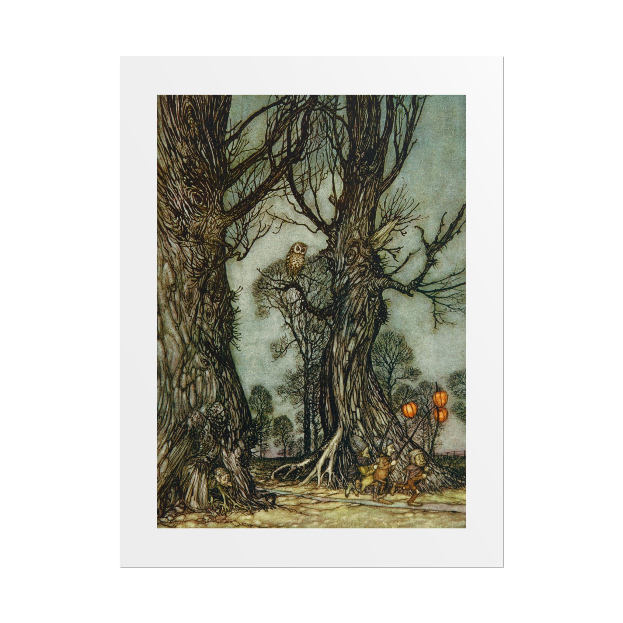 Arthur Rackham, Owl from "Peter Pan in Kensington Gardens", 16" x 20" Giclee Print