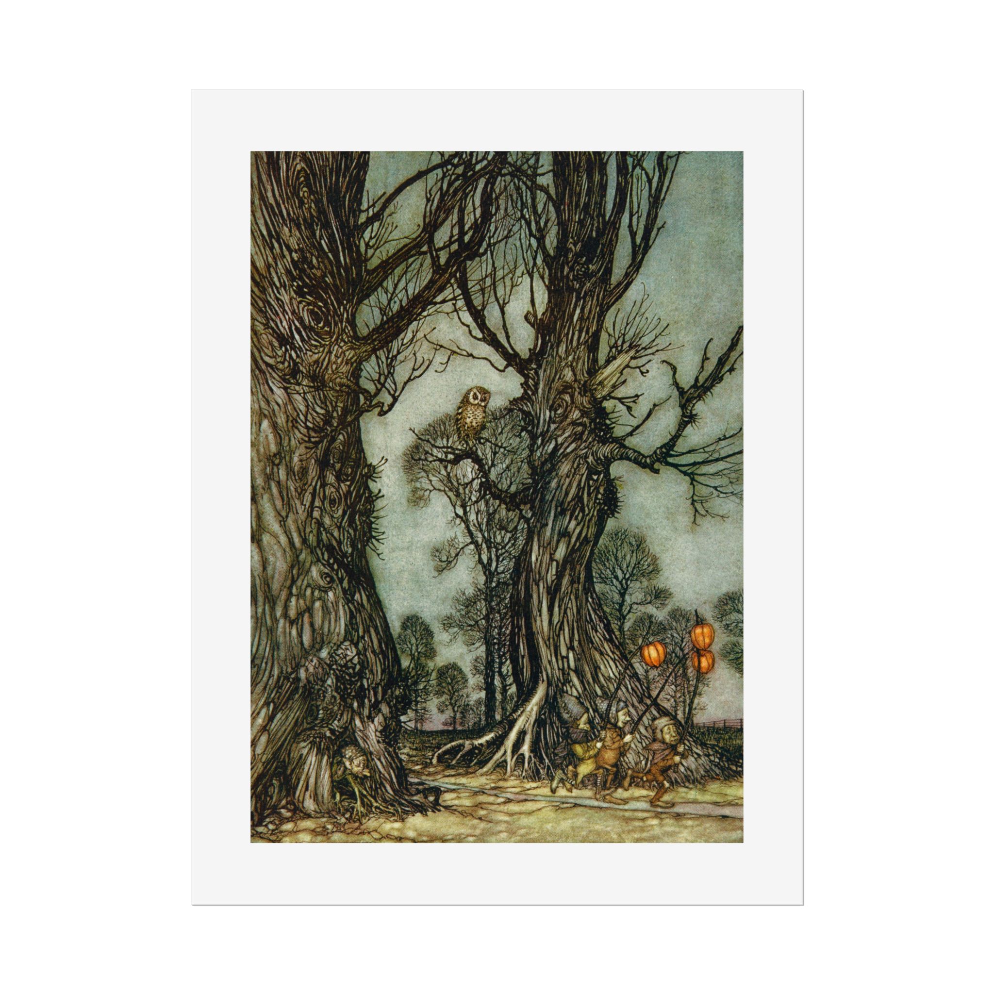 Arthur Rackham, Owl from "Peter Pan in Kensington Gardens", 16" x 20" Giclee Print - Image 3