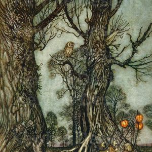 Arthur Rackham Owl from Peter Pan in Kensington Gardens Digital Print Product Photo